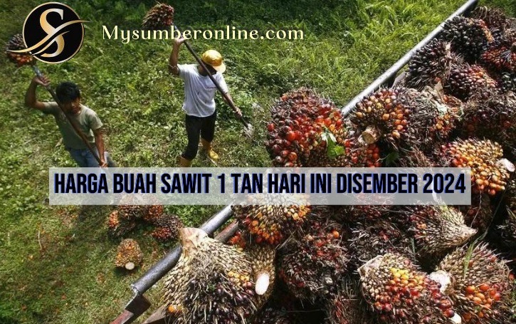 Harga Buah Sawit 1 Tan Hari Ini